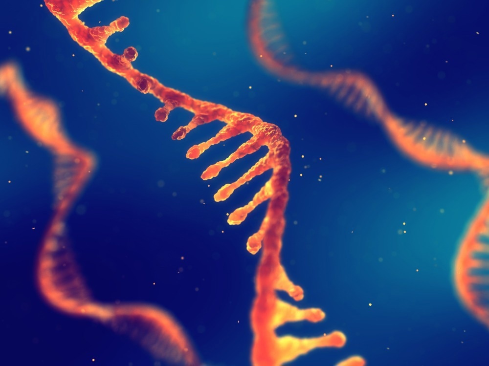 Study: unlocking the promise of mRNA therapies.  Image Credit: nobeastsofierce/Shutterstock
