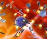 Researchers identify 55 broadly reactive monoclonal antibodies to betacoronaviruses