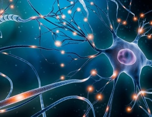 Reversing paralysis with electrical stimulation of neurons