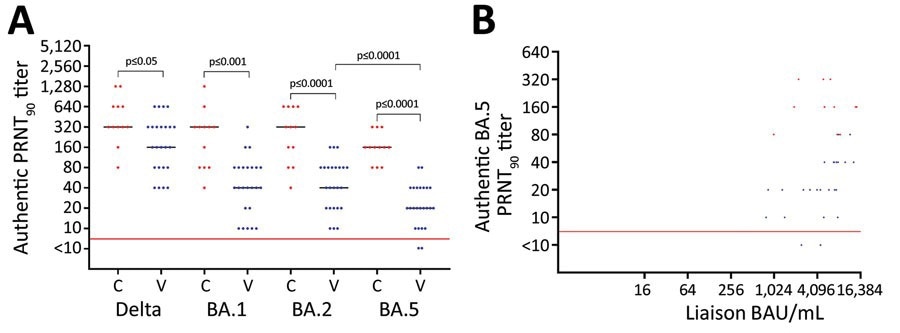 Neutralization of SARS-CoV-2 variants among vaccine-boosted persons with and without prior Omicron BA.1/BA.2 infections, Denmark. A) PRNT90 titers against SARS-CoV-2 Delta variant and Omicron variants BA.1, BA.2, and BA.5. B) Correlation between the levels of spike antibodies and PRNT90 titers. Participants received 3 doses of BNT162b2 (Pfizer-BioNTech), 2 initial vaccines and a booster dose. We analyzed titers for 24 vaccinated participants (blue dots) who received 3 BNT162b2 doses only and 12 convalescent participants (red dots) who received 3 vaccine doses and had Omicron BA.1/BA.2 infection. For statistical analysis, a Kruskal-Wallis test was applied initially to account for the multiple comparisons problem. Subsequently, unpaired PRNT90 titers were compared with the Wilcoxon rank-sum test, whereas paired PRNT90 titers were compared with the Wilcoxon sign rank test. Red horizontal lines indicate neutralization threshold; horizontal bars indicate median neutralization titer for each SARS-CoV-2 strain. BAU, binding antibody units; C, convalescent participant; PRNT90, plaque reduction neutralization tests with plaque reduction >90%; V, vaccinated participant.