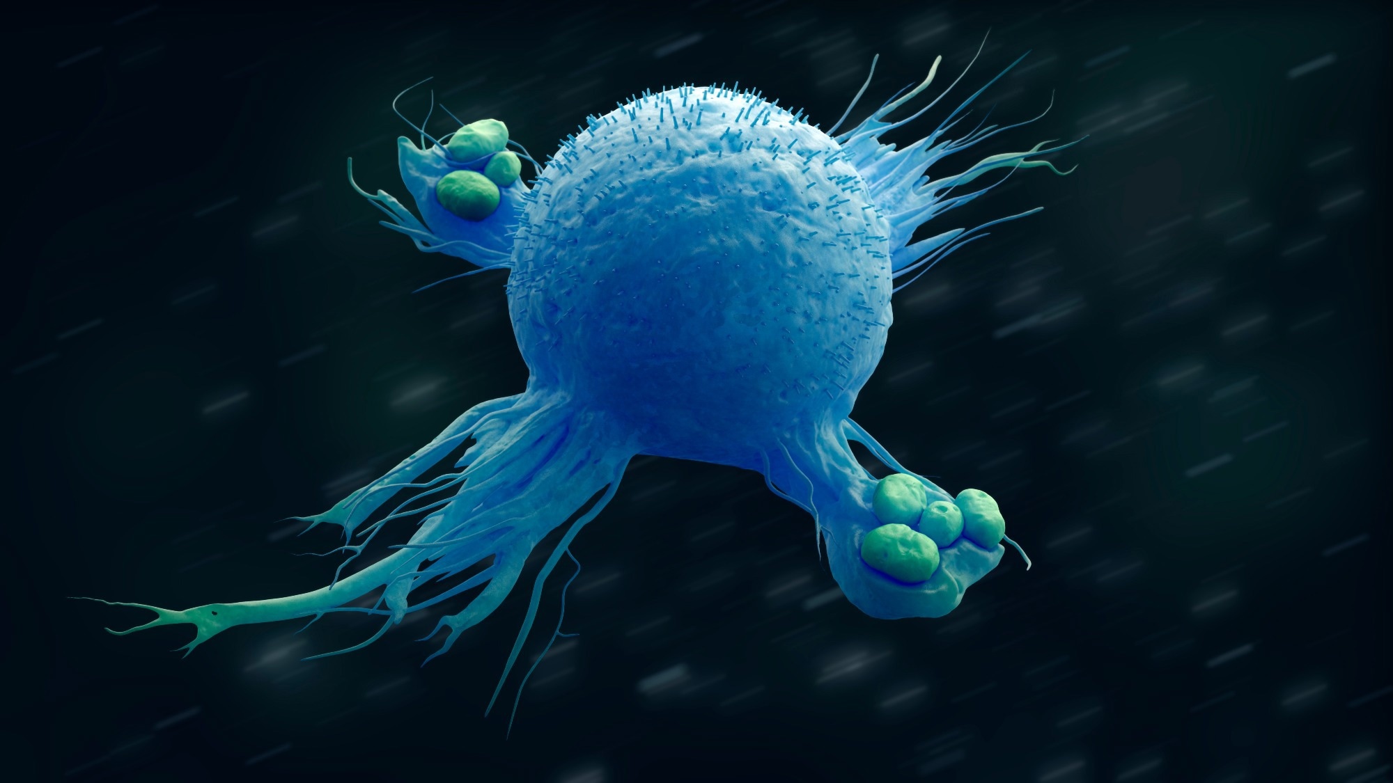 Study: Macrophages in health and disease. Image Credit: urfin/Shutterstock