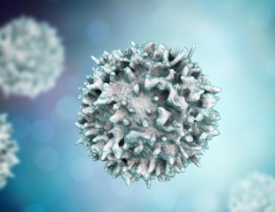 Study suggests the rapid expansion of naïve T cells can provide a fast and effective immune response to SARS-CoV-2 and other viral infections