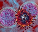 Study of natural killer lymphocytes transcriptionally reprogrammed by vaccinia virus