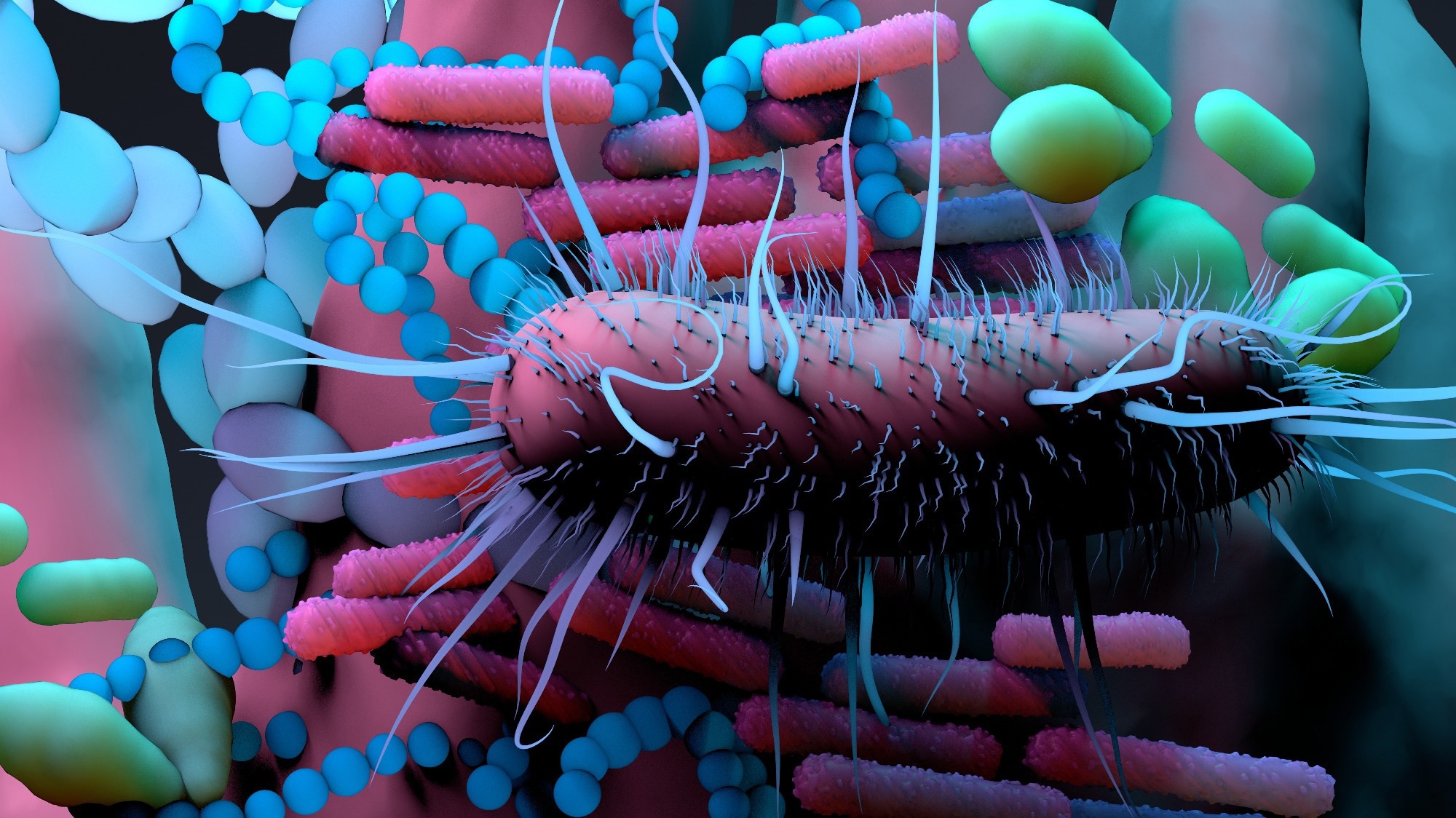 مطالعه: میکروبیوم روده و ایمنی ضد ویروسی در COVID-19.  اعتبار تصویر: Design_Cells / Shutterstock