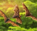 Scientists explore bat sarbecovirus isolation in Japan