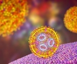 Potent hypervalent nanoparticles against HIV, Lassa and SARS-CoV-2 variants