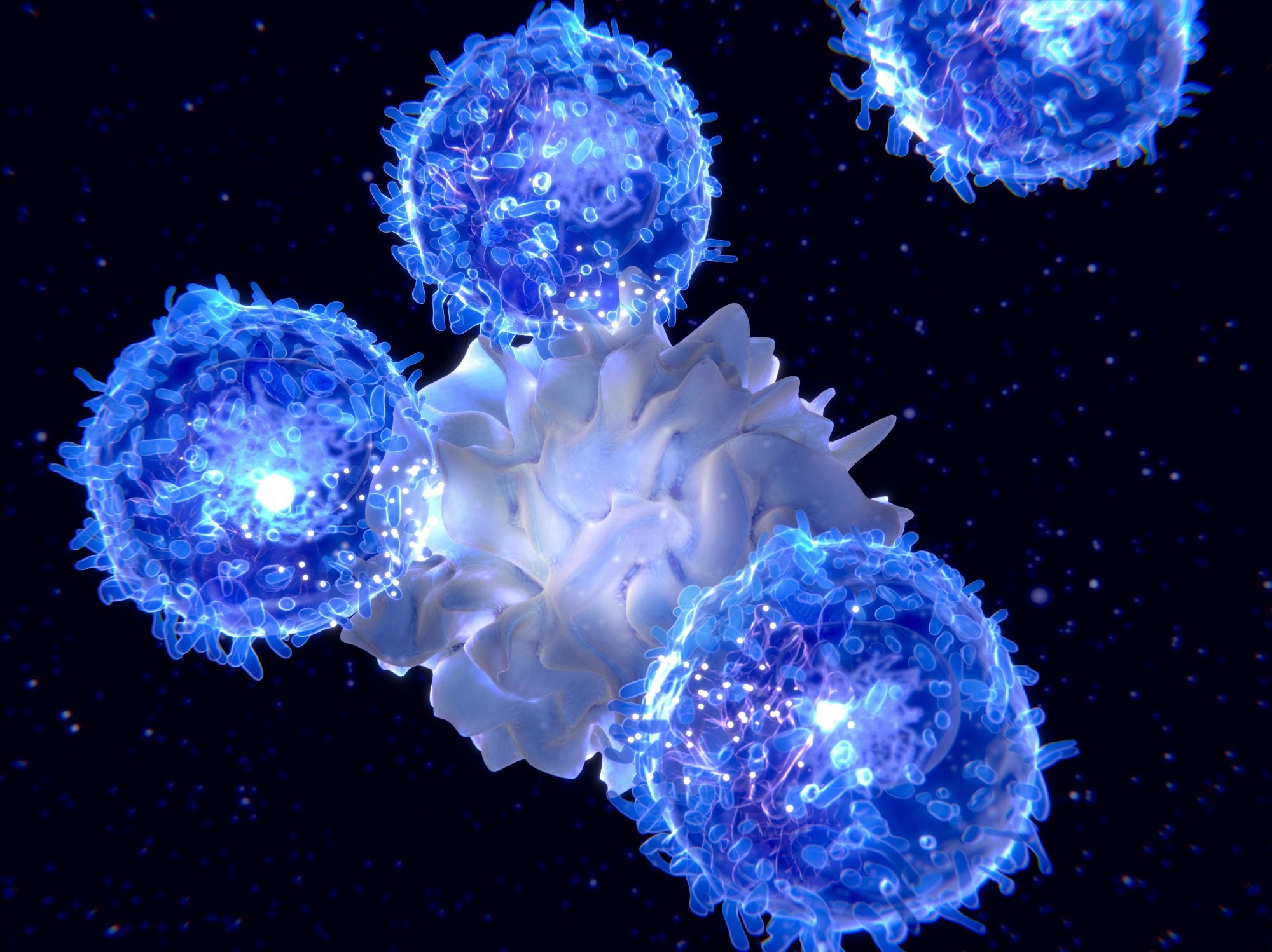 Study: Memory B Cells and Memory T Cells Induced by SARS-CoV-2 Booster Vaccination or Infection Show Different Dynamics and Responsiveness to the Omicron Variant Image Credit: Juan Gaertner / Shutterstock