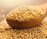 How does quinoa affect the gut microbiome of men?
