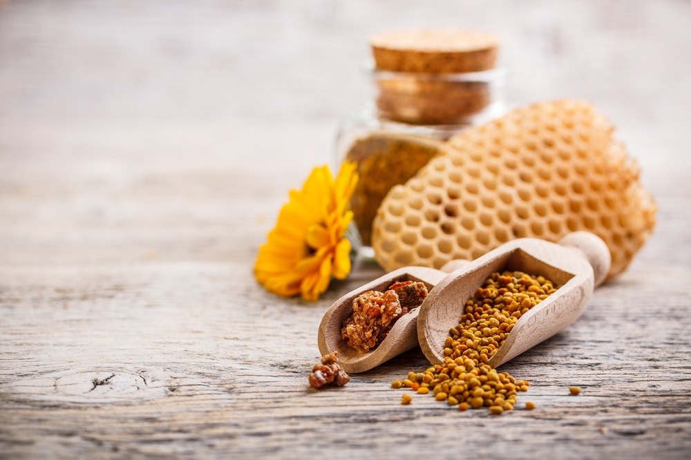 Study: Antioxidant, anti-inflammatory and anti-acne activities of stingless bee (Tetragonula biroi) propolis. Image Credit: grafvision / Shutterstock.com