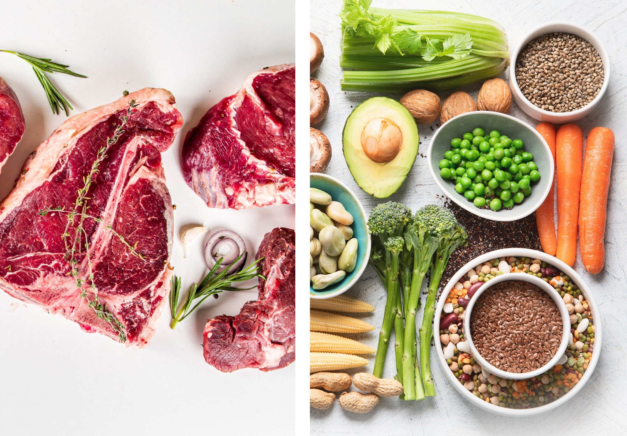 Editorial: Are We What We Eat? The Moral Imperative of the Medical Profession to Promote Plant-Based Nutrition. Image Credit: Rimma Bondarenko and Tatjana Baibakova / Shutterstock