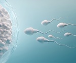 Impact of COVID-19 on sperm quality