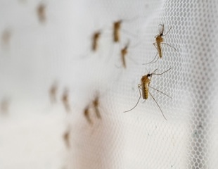 Laos malaria outbreak in 2020–21 likely caused by multidrug-resistant strains of P. falciparum