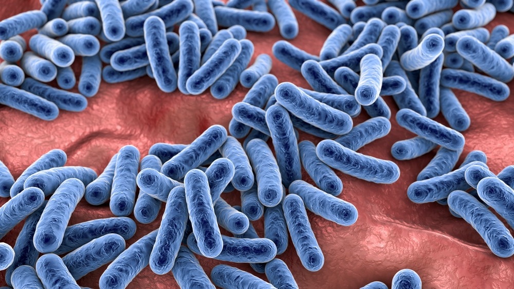 مطالعه: ارزیابی پاتوژن‌های در گردش و میکروبیوم از عفونت‌های COVID-19.  اعتبار تصویر: Kateryna Kon/Shutterstock