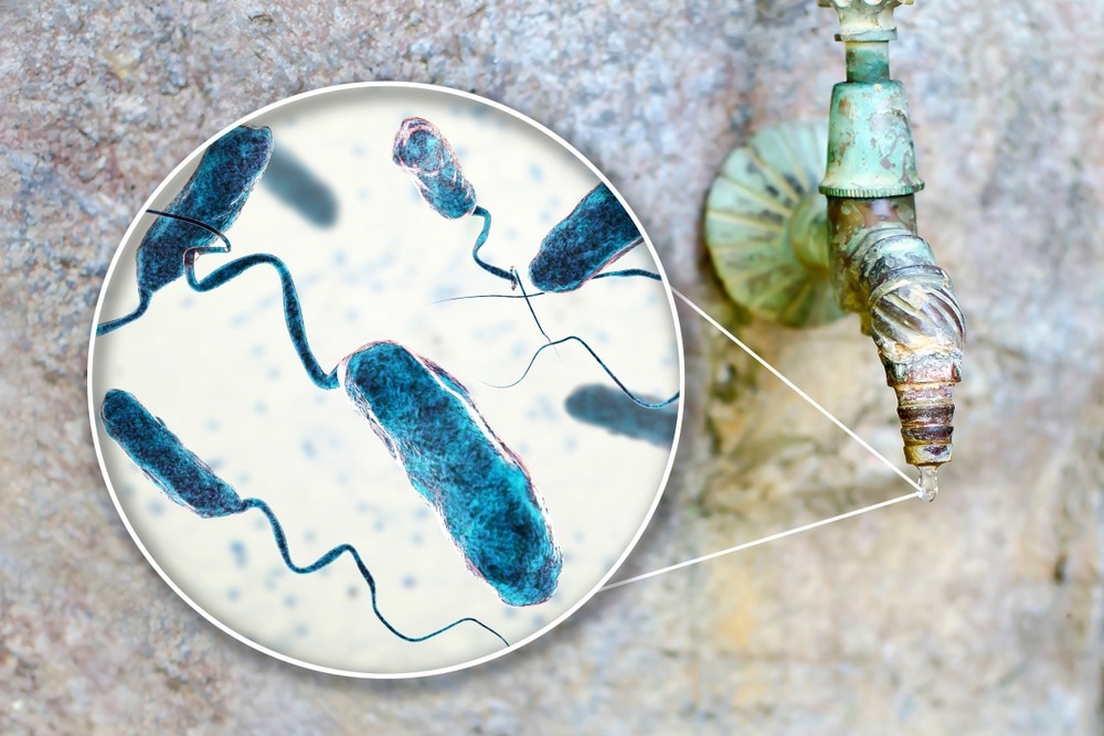 Study: Cholera past and future in Nigeria: are the Global Task Force on Cholera Control’s 2030 targets achievable? Image Credit: Kateryna Kon/Shutterstock