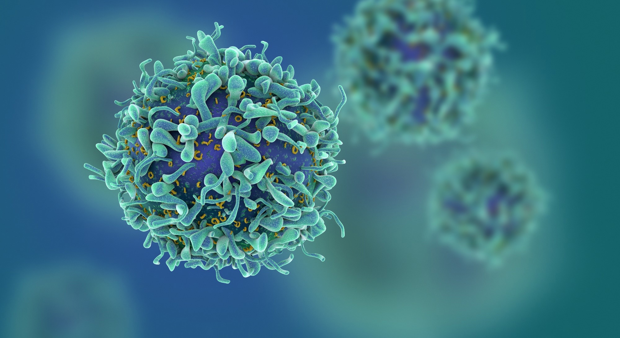 Study: Dynamics of Antibody and T Cell Immunity against SARS-CoV-2 Variants of Concern and the Impact of Booster Vaccinations in Previously Infected and Infection-Naïve Individuals. Image Credit: fusebulb / Shutterstock