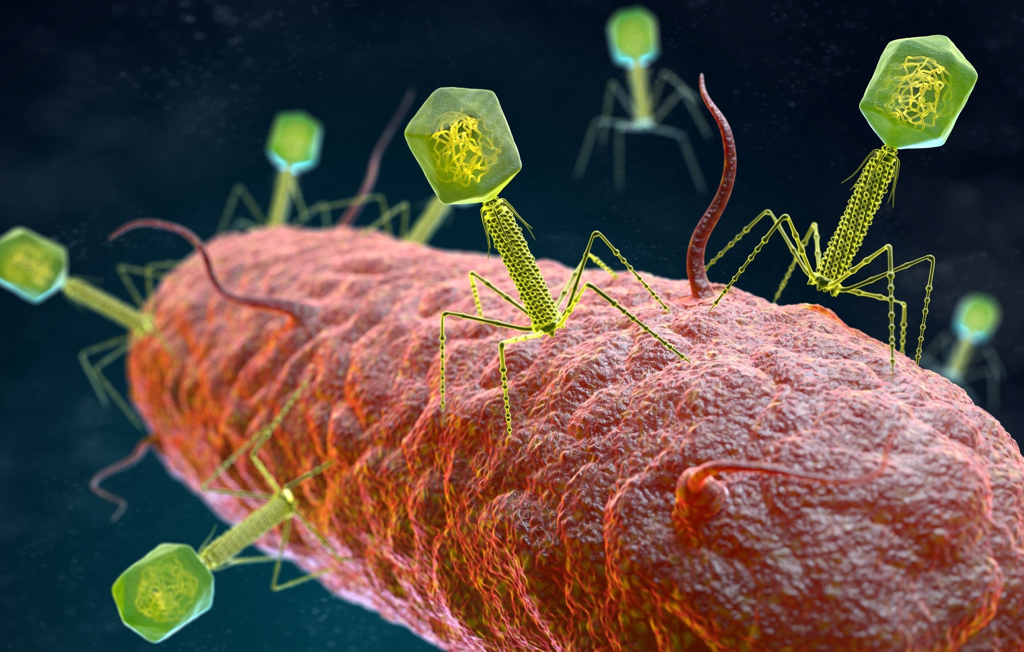 Study: Phage therapy: From biological mechanisms to future directions. Image Credit: Tatiana Shepeleva/Shutterstock