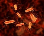 Study on bacterial infection in older individuals
