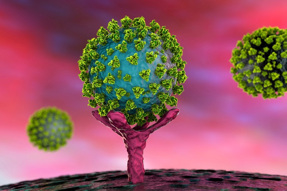 Study: Effects of Variants of Concern Mutations on the Force-Stability of the SARS-CoV-2:ACE2 Interface and Virus Transmissibility. Image Credit: Kateryna Kon/Shutterstock