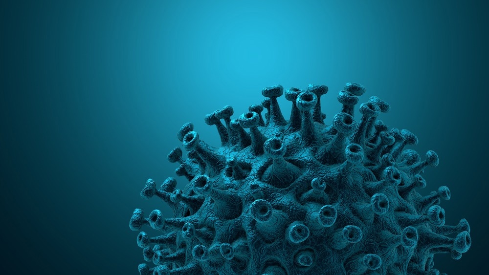 Study: The effect of previous SARS-CoV-2 infection and COVID-19 vaccination on SARS-CoV-2 Omicron infection and relation with serological response – a prospective cohort study. Image Credit: CROCOTHERY/Shutterstock