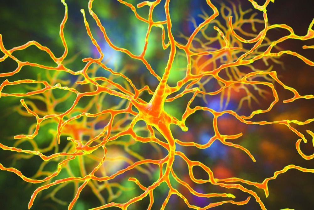 Étude : Remodelage de la connectivité synaptique dans des organoïdes rétiniens cultivés dérivés de cellules souches humaines dissociées.  Crédit d'image : Kateryna Kon/Shutterstock