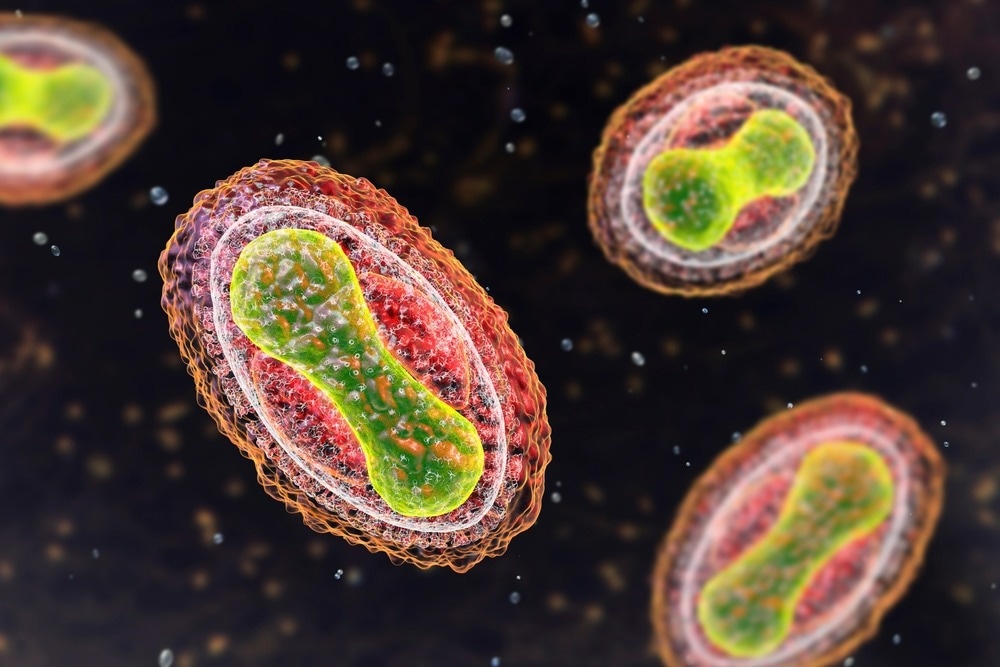 Study: Analysis of variola virus molecular evolution suggests an old origin of the virus consistent with historical records. Image Credit: Kateryna Kon/Shutterstock