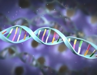 The loss of epigenetic information accelerates the aging process