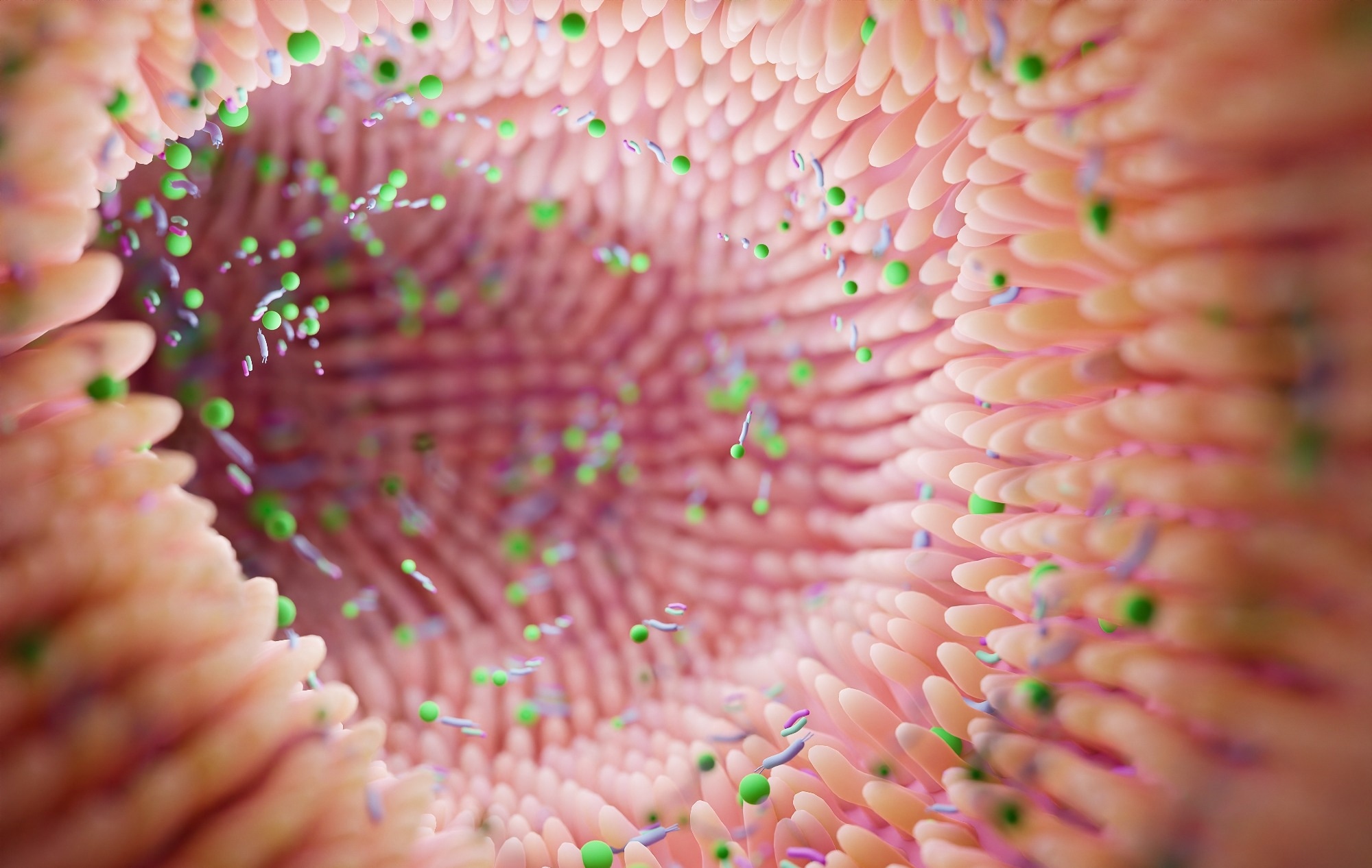 Étude : Associations environnementales et génétiques avec une maturation microbienne intestinale anormale dans l'asthme infantile.  Crédit d'image : cheval de Troie/Shutterstock