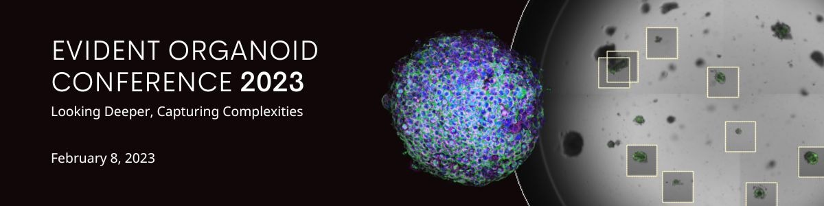2023 EVIDENT Organoid Conference to share the latest organoid innovations