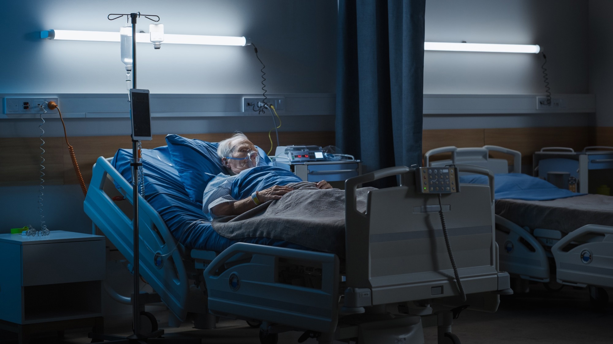Study: Differences Between Reported COVID-19 Deaths and Estimated Excess Deaths in Counties Across the United States, March 2020 to February 2022. Image Credit: Gorodenkoff/Shutterstock