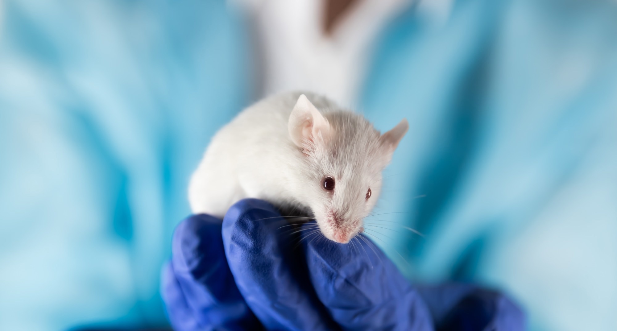 Study: Gene Therapy Mediated Partial Reprogramming Extends Lifespan and Reverses Age-Related Changes in Aged Mice. Image Credit: javirozas/Shutterstock