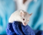Partial genetic reprogramming might extend lifespan and reverse aging in old mice