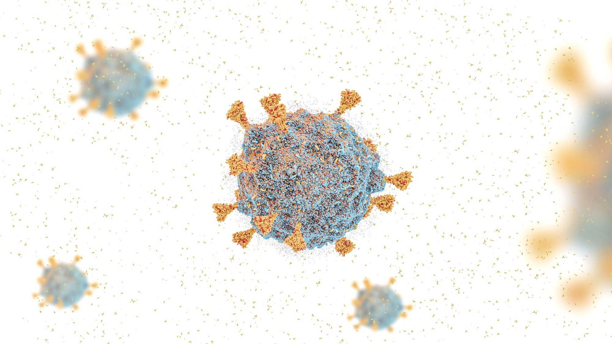 Study: Protective effectiveness of previous SARS-CoV-2 infection and hybrid immunity against the omicron variant and severe disease: a systematic review and meta-regression. Image Credit: CI Photos/Shutterstock