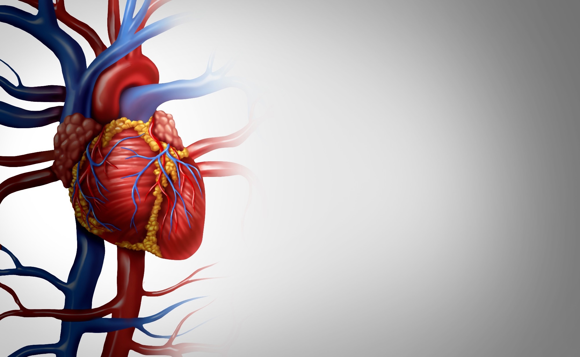 Study: Association of COVID-19 with short- and long-term risk of cardiovascular disease and mortality: a prospective cohort in UK Biobank. Image Credit: Lightspring/Shutterstock