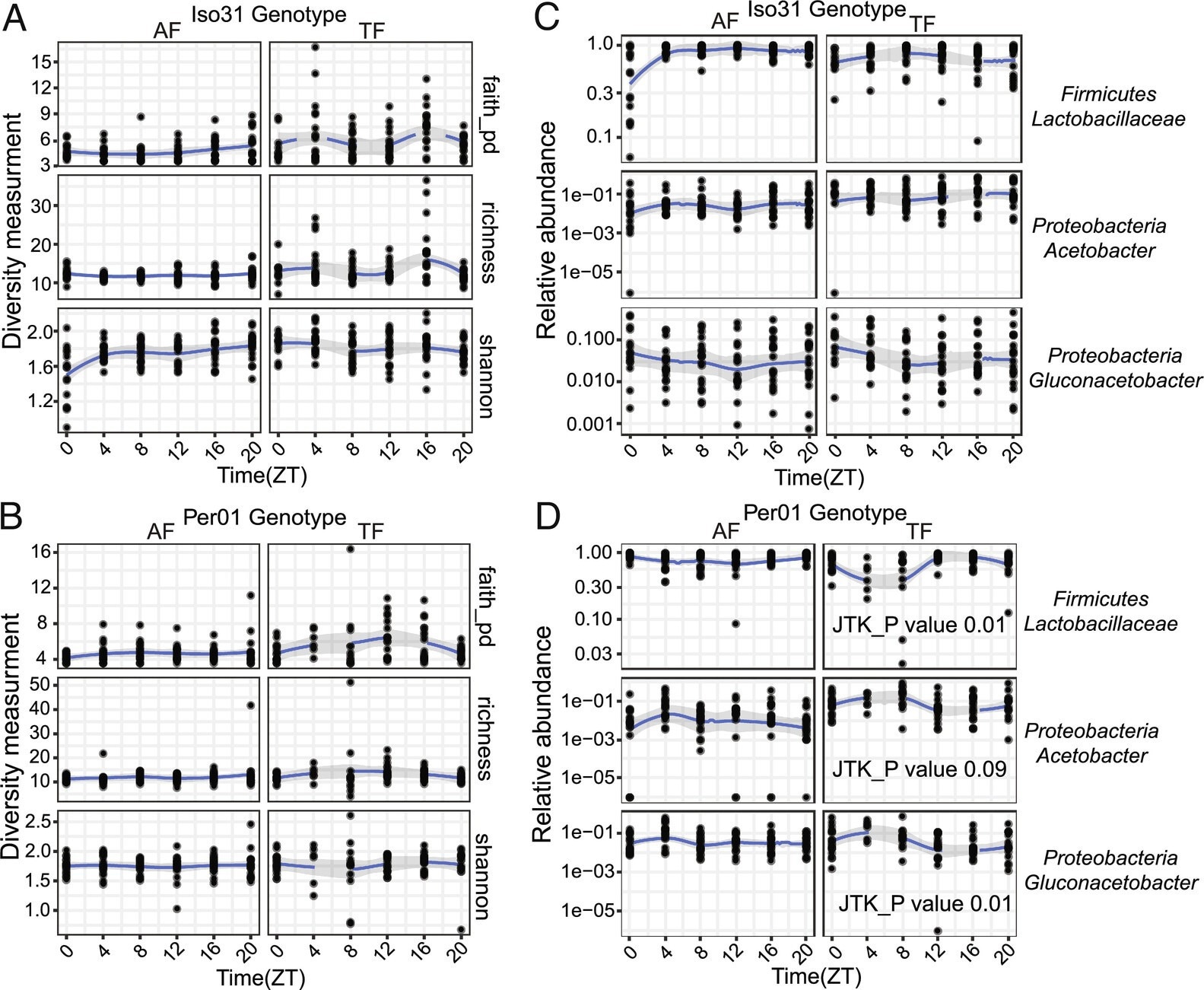 The Drosophila intestinal microbiome is largely stable over a daily cycle.  (A and B) Microbiome diversity does not show diurnal oscillations in wild type Iso31 or clock mutant per01 fly guts under ad−lib (AF) or TF conditions.  JTK_cycle was used to assess rhythmicity.  (C and D) Specific bacterial species cycle under TF conditions, but only in per01.  JTK_cycle values ​​are shown.