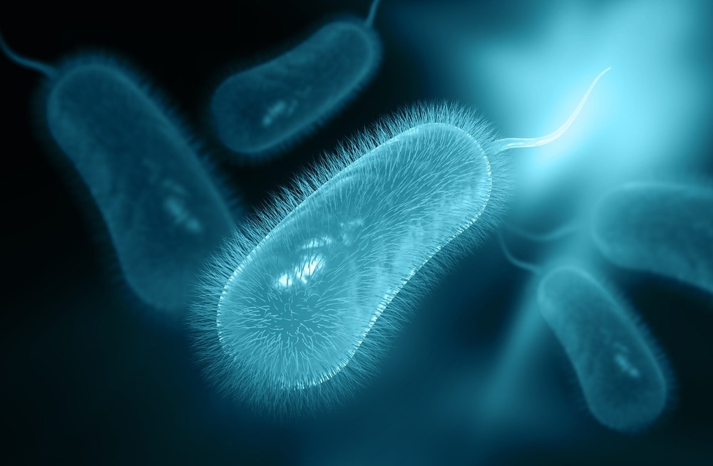 Study: Helicobacter pylori eradication rates using clarithromycin and levofloxacin-based regimens in patients with previous COVID-19 treatment: a randomized clinical trial. Image Credit: Liya Graphics/Shutterstock