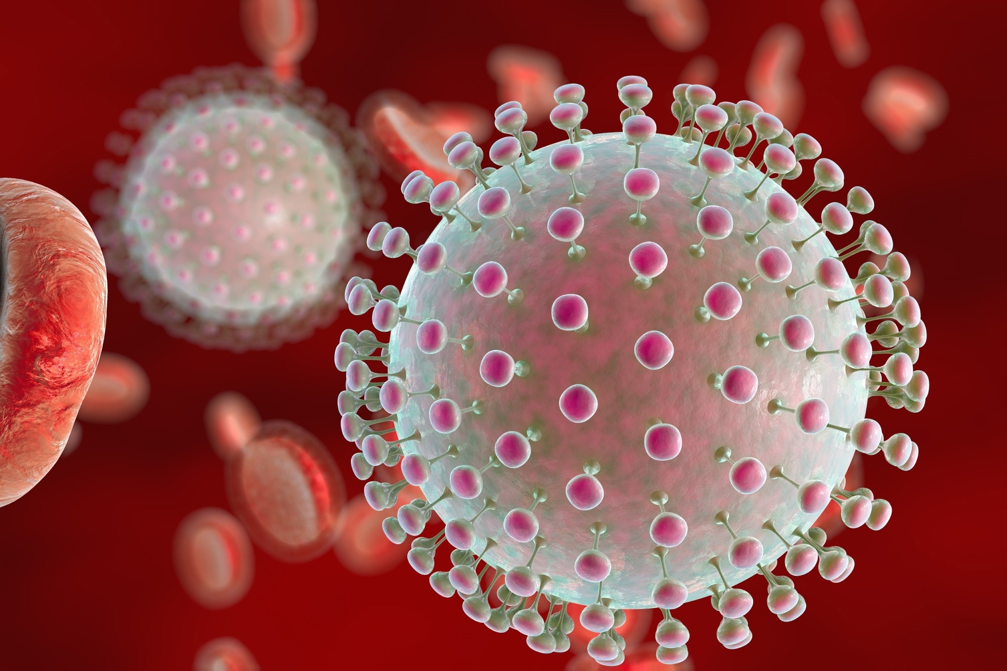 مطالعه: ساختار دمبل-1 ویروس زیکا برای حضور sfRNA و اثر سیتوپاتیک در طول عفونت حیاتی است.  اعتبار تصویر: Kateryna Kon/Shutterstock