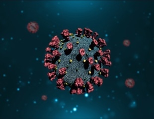 Antiviral activity of natural flavonoids against various coronaviruses