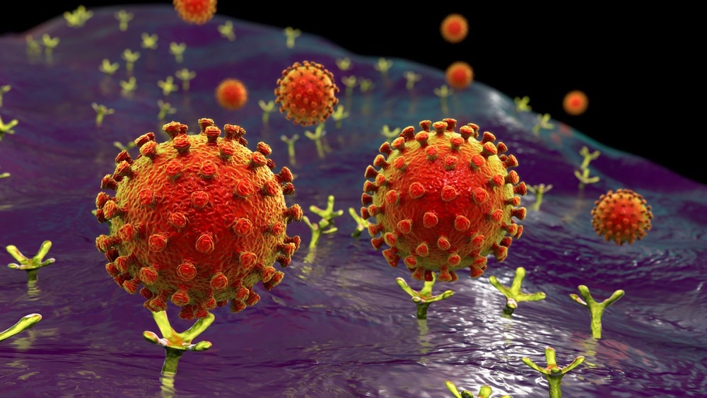 Study: Coronaviruses use ACE2 monomers as entry receptors. Image Credit: Kateryna Kon/Shutterstock