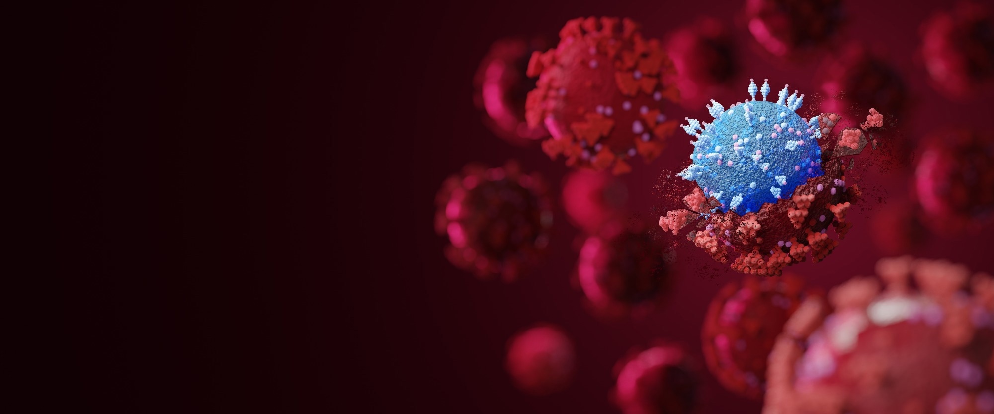 مطالعه: عفونت‌های Omicron BA.1/BA.2 در افراد سه‌گانه واکسینه شده، مجموعه متنوعی از پاسخ‌های ایمنی مخاطی و خونی را افزایش می‌دهند.  اعتبار تصویر: Fit Ztudio/Shutterstock
