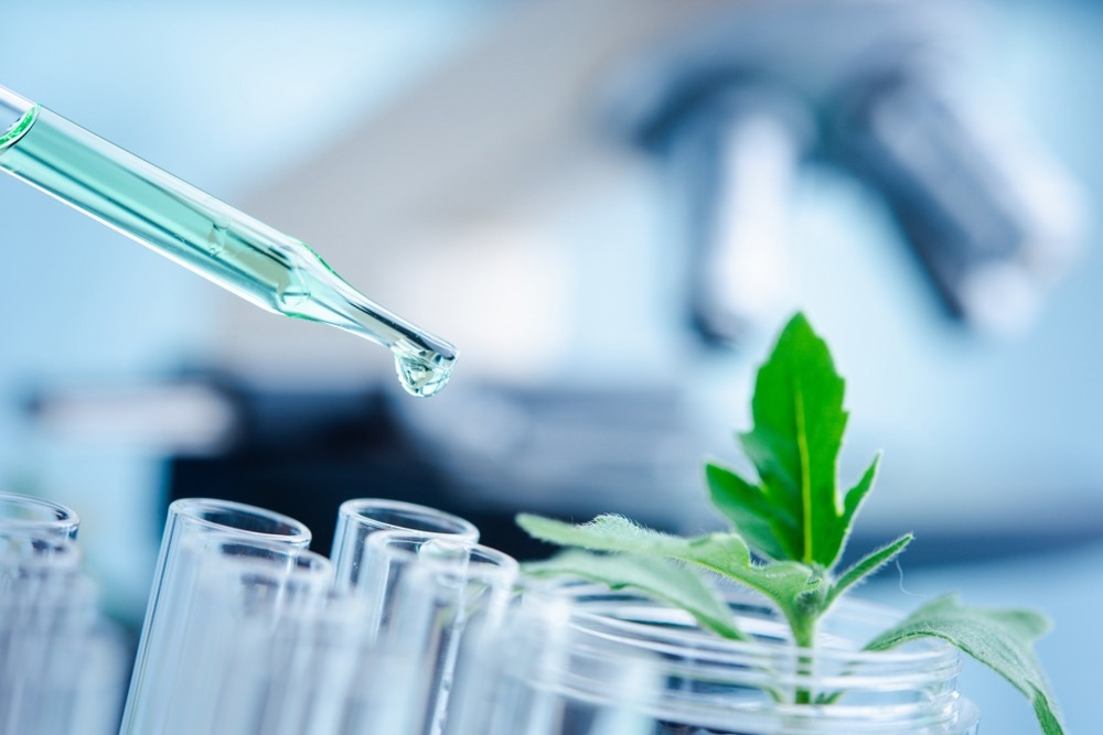 The relationship between natural plant extracts and SARS-CoV-2 – News-Medical.Net