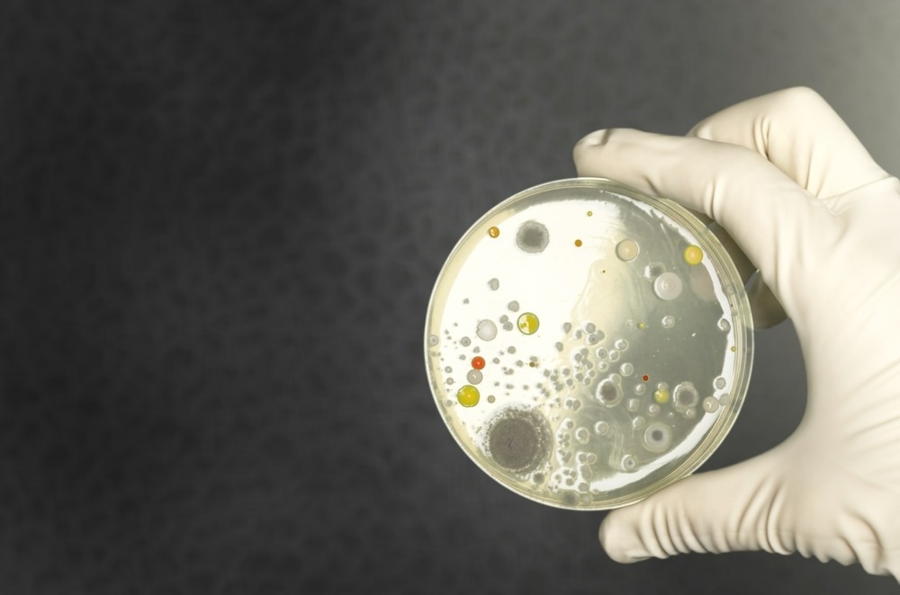 Study: Predicting antimicrobial resistance using historical bacterial resistance data with machine learning algorithms. Image Credit: Billion Photos/Shutterstock