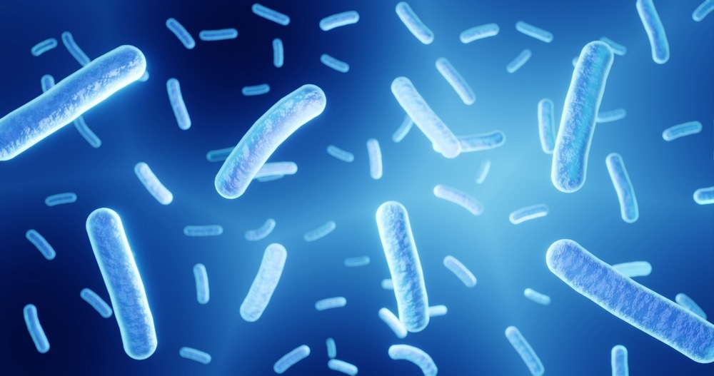 Study: Phylogeny analysis of whole protein-coding genes in metagenomic data detected an environmental gradient for the microbiota. Image Credit: ART-ur/Shutterstock