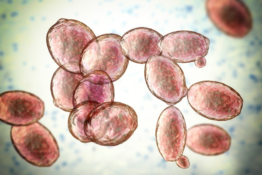 Study: SARS-CoV-2 Post-Infection and Sepsis by Saccharomyces cerevisiae: A Fatal Case Report—Focus on Fungal Susceptibility and Potential Virulence Attributes. Image Credit: Kateryna Kon/Shutterstock