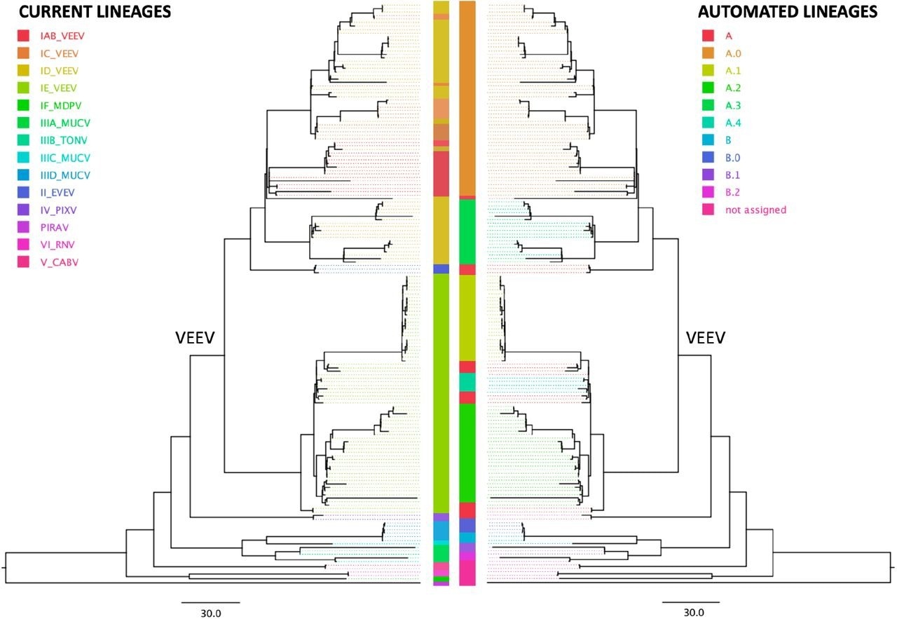 Comparison of the serology subtype designation (left tree) with automated lineage designation (right tree) of the Venezuelan equine encephalitis virus complex (VEE), based on a tree previously generated by the Augur pipeline (Huddleston et al 2021) and visualized on FigTree v. 1.4.4. According to the current nomenclature, VEE encompasses Everglades virus (EVEV), Mucambo virus (MUCV), Tonate virus (TONV), Pixuna virus (PIXV), Cabassou virus (CABV), Rio Negro virus (RNV), Mosso das Pedras virus (MDPV), Pirahy virus (PIRAV) and the Venezuelan equine encephalitis virus (VEEV). The VEEV clade is labeled in the tree.