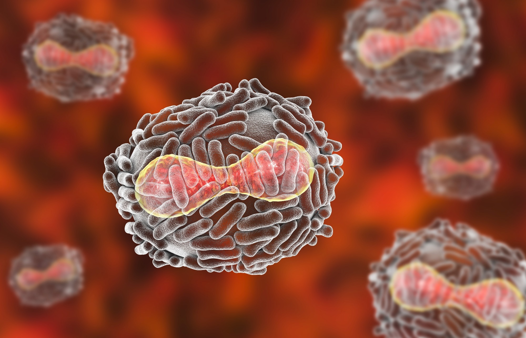 Study: A FACT-ETS-1 Antiviral Response Pathway Restricts Viral Replication and is Countered by Poxvirus A51R Proteins. Image Credit: Kateryna Kon / Shutterstock