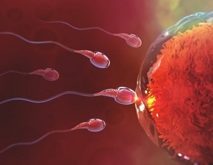 An oral and on-demand male contraceptive
