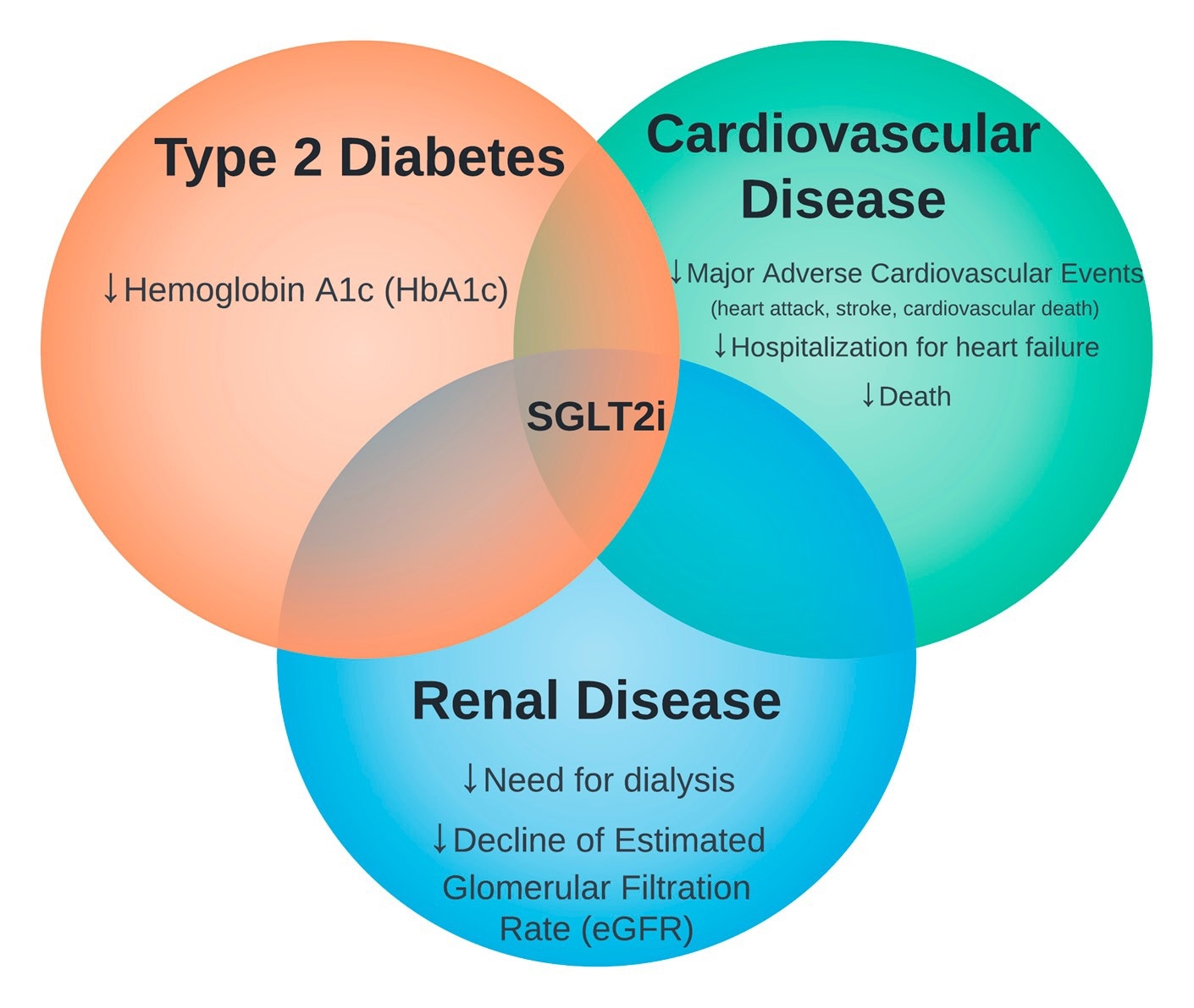 The intersection of sodium-glucose cotransporter 2 inhibitors (SGLT2i) therapy in type 2 diabetes, cardiovascular disease, and renal disease.