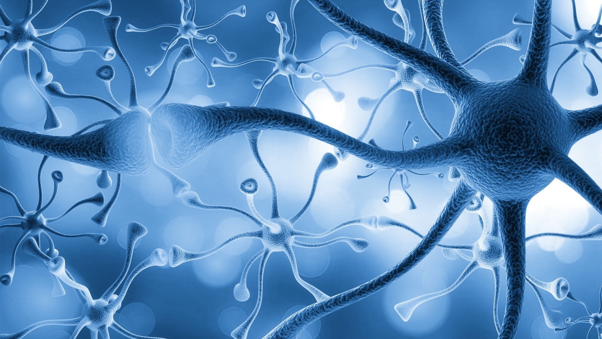 Study: Hypothalamic neurons that mirror aggression. Image Credit: Billion Photos / Shutterstock