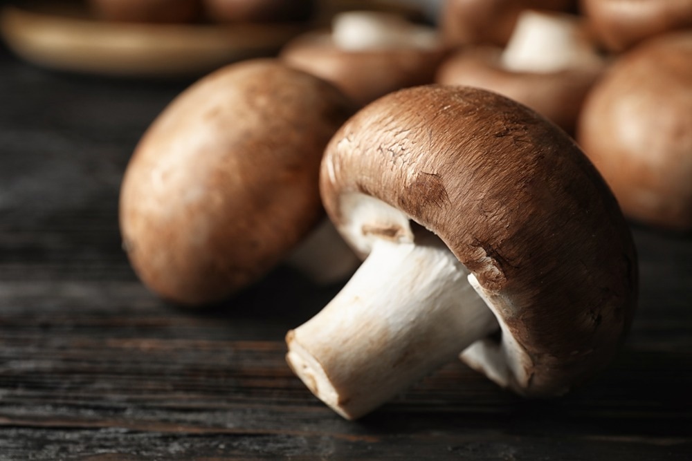 Study: An Assessment of Mushroom Consumption on Cardiometabolic Disease Risk Factors and Morbidities in Humans: A Systematic Review. Image Credit: New Africa/Shutterstock