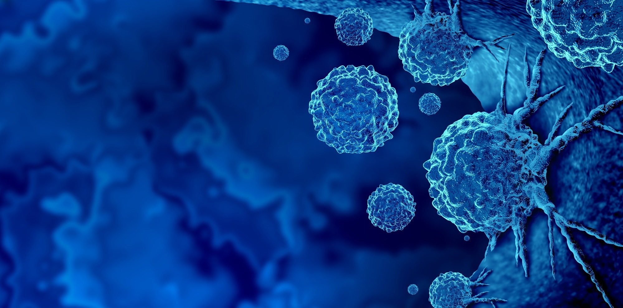 Study: YAP-controlled MHC I and CXCL10 expression potentiates antitumor immunity independently of IFNγ signaling. Image Credit: Lightspring/Shutterstock